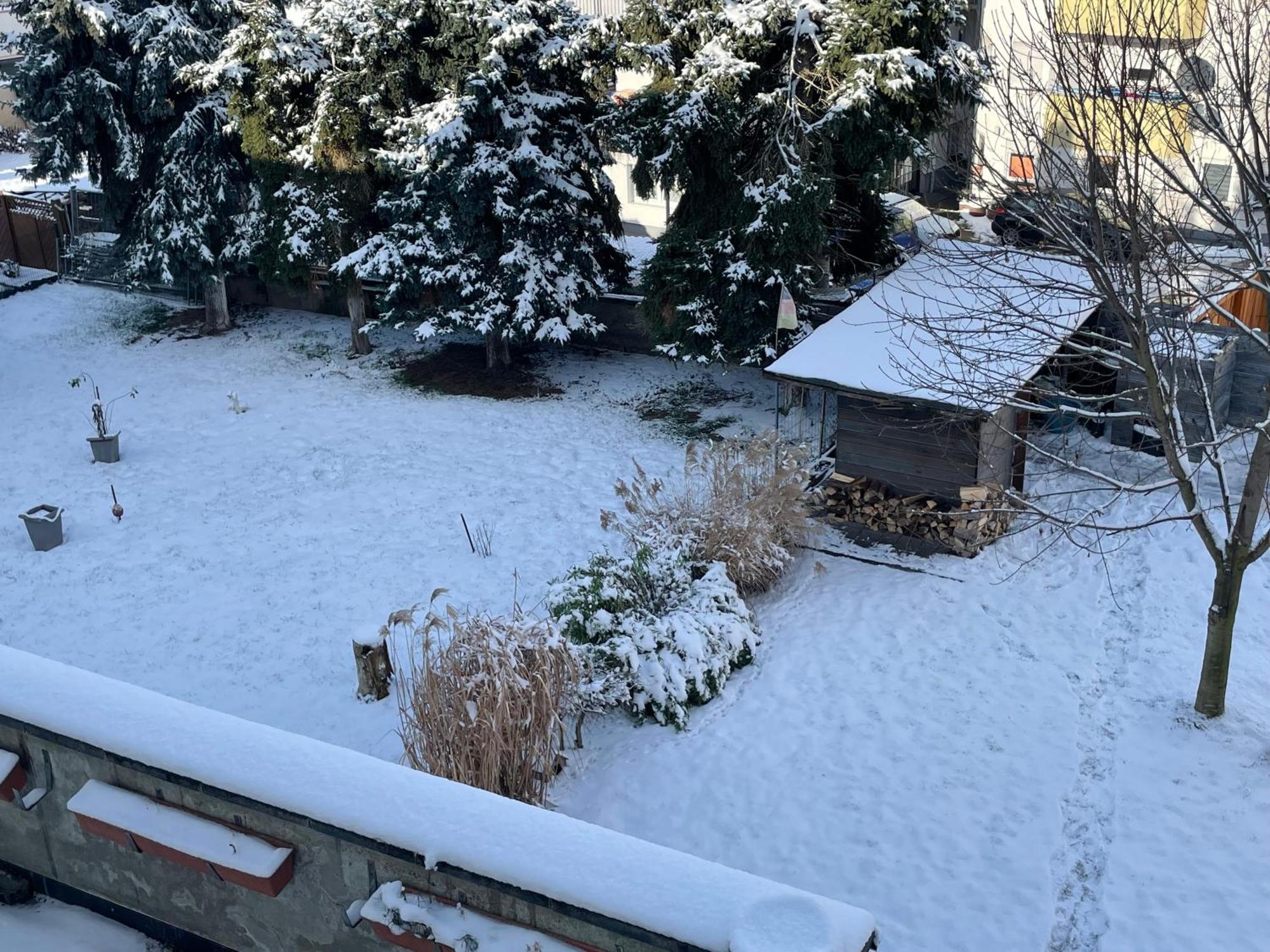 Ferienwohnung Dieblich An Der Mosel Extérieur photo