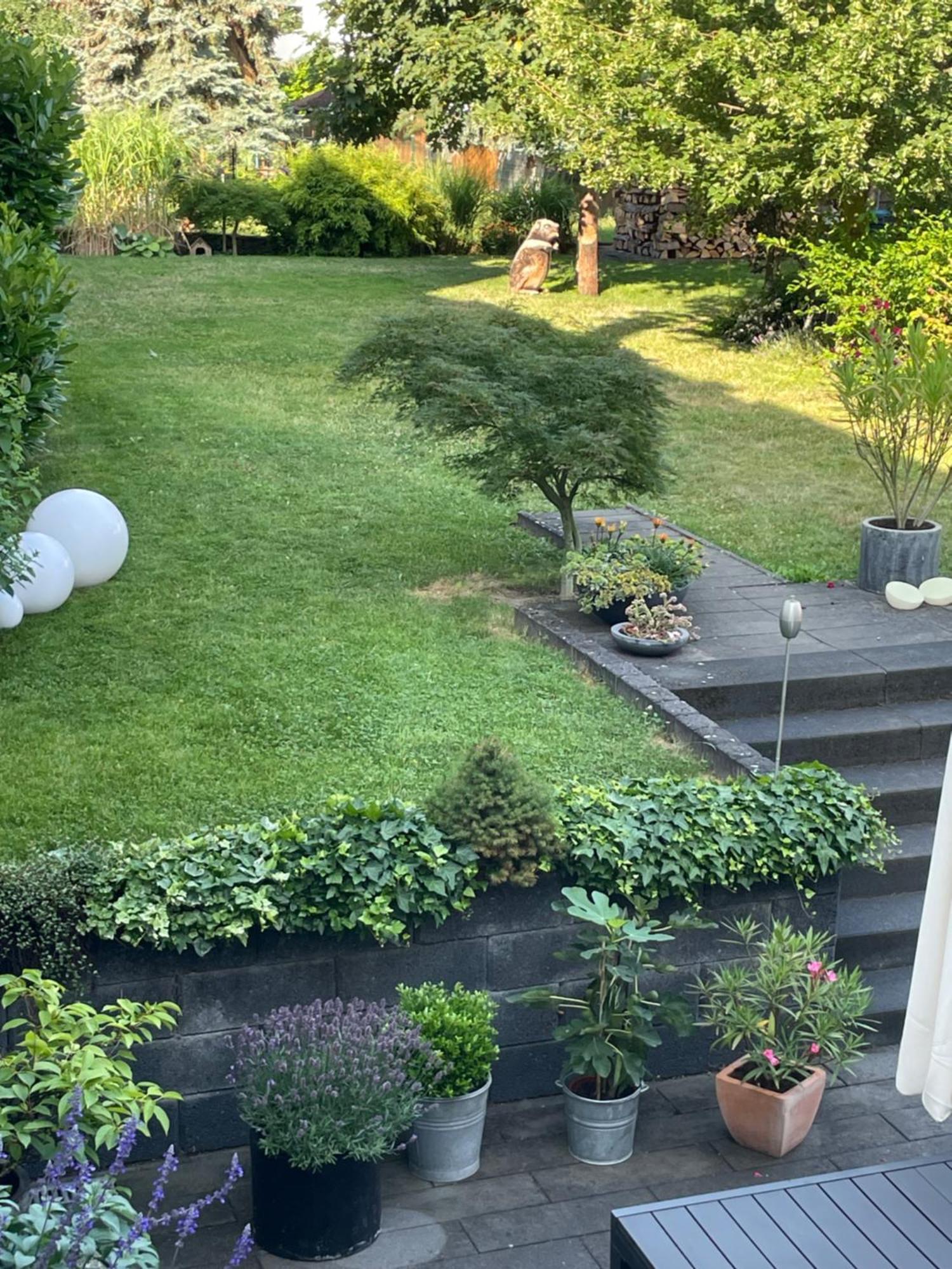 Ferienwohnung Dieblich An Der Mosel Extérieur photo